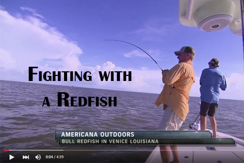 Fighting with a Redfish