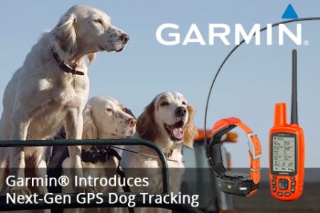 garmin instinct dog tracker