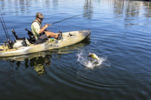 Americana Outdoors got Hobie Fishing Kayaks in action
