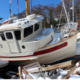 Boat US Marine Insurance Program
