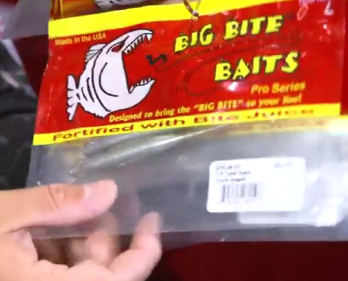 Big Bite Baits