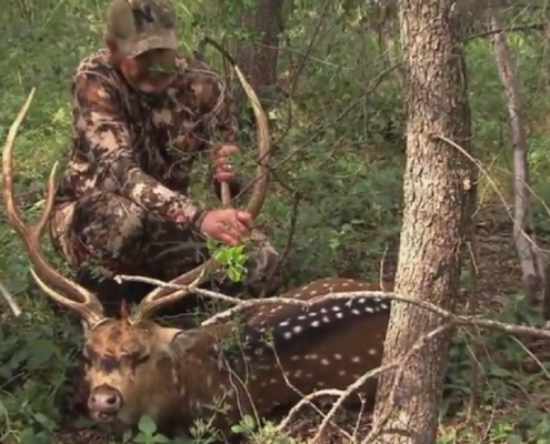 South Texas Axis Deer Hunt