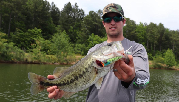 Value-Priced SPRO Essential Series Lures - Americana Outdoors